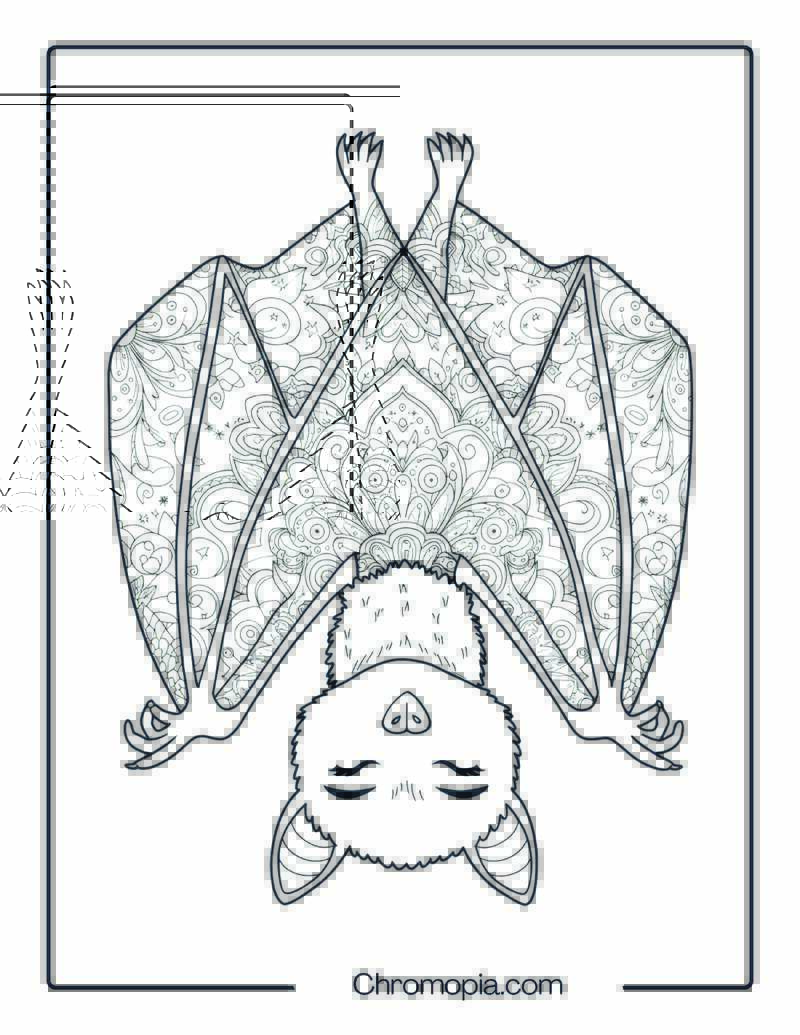 Bat Meditating Upside Down Mandala Page