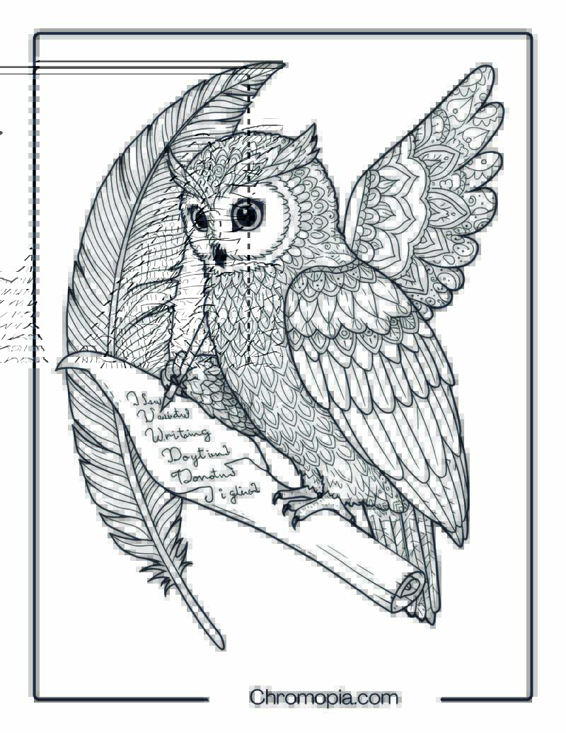 Owl Writing Poetry Mandala Coloring Sheet