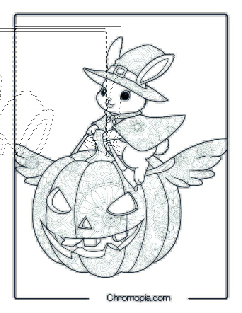 Witch Bunny on Flying Pumpkin Mandala Page
