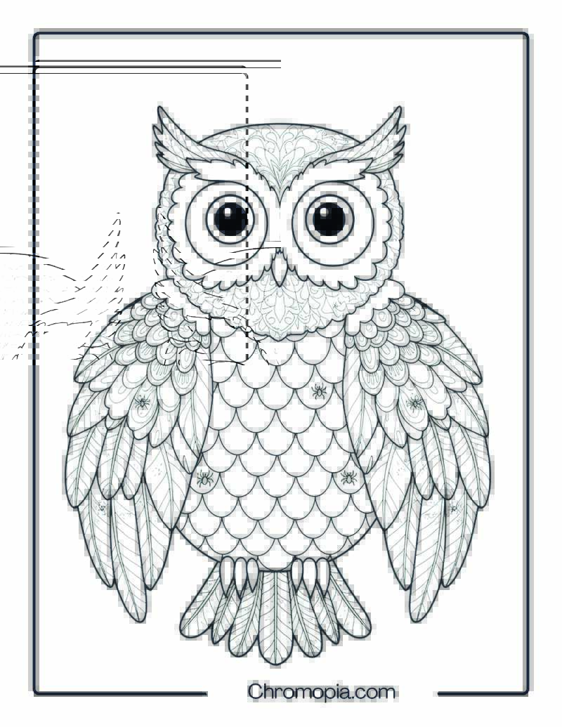 Halloween Owl with Mandala Wings Page