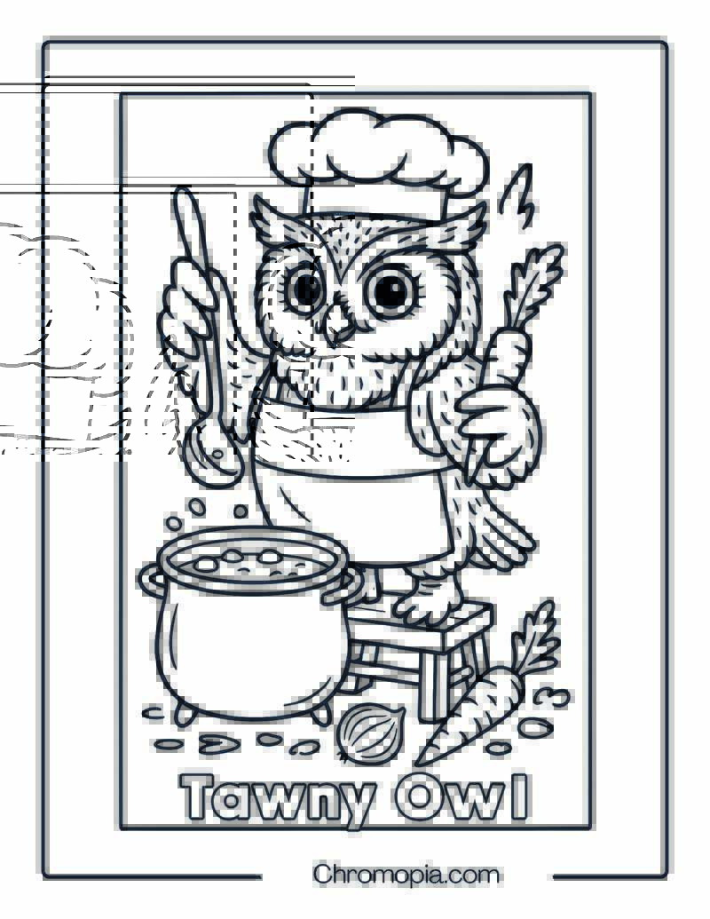 Owl Chef Cooking Coloring Page