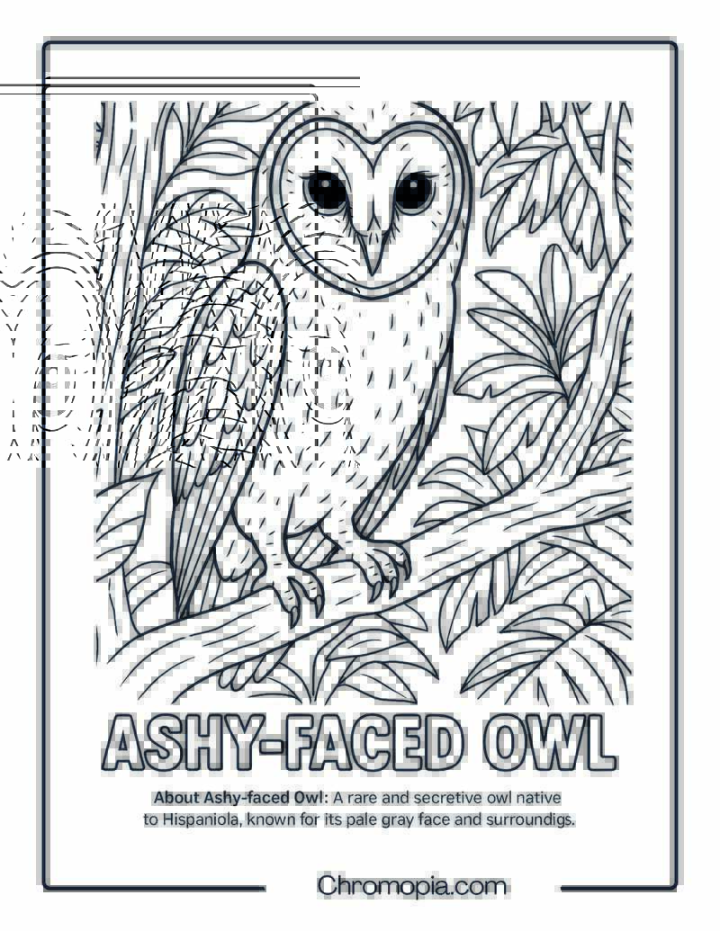 Ashy-faced Owl Coloring Page