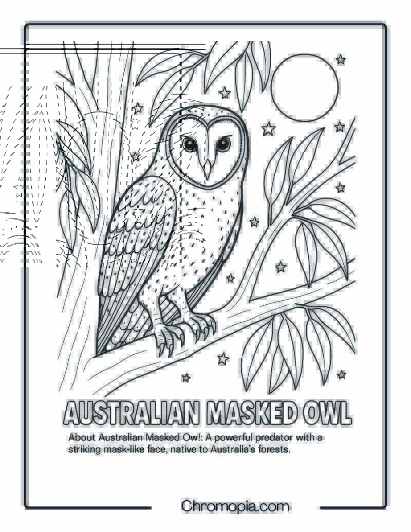 Australian Masked Owl Coloring Page