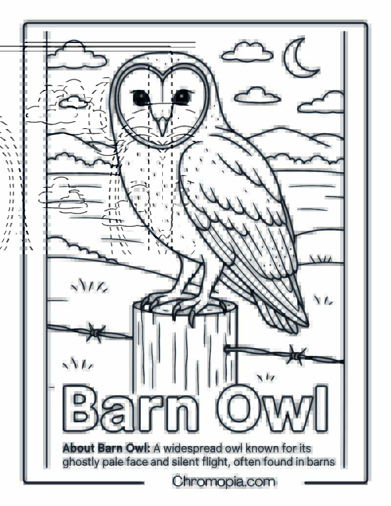 Barn Owl Coloring Page