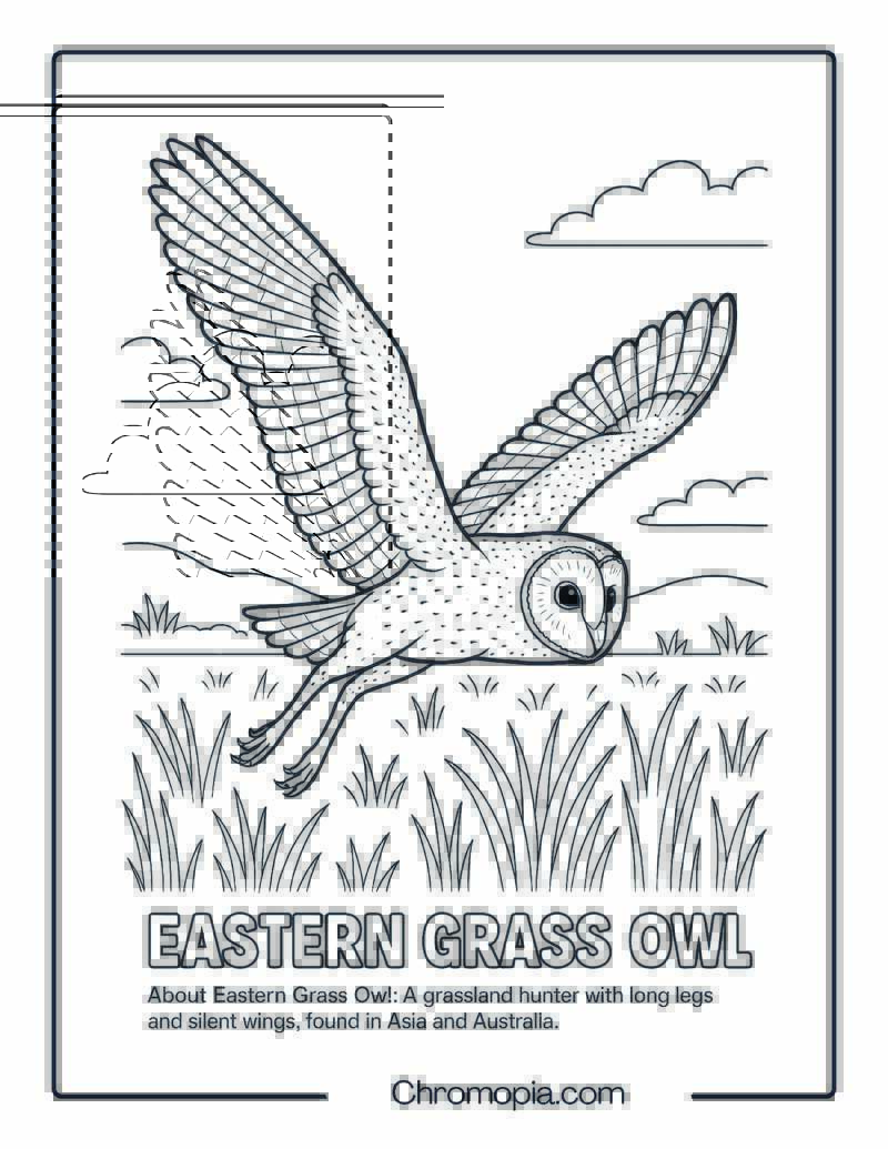 Eastern Grass Owl Coloring Page