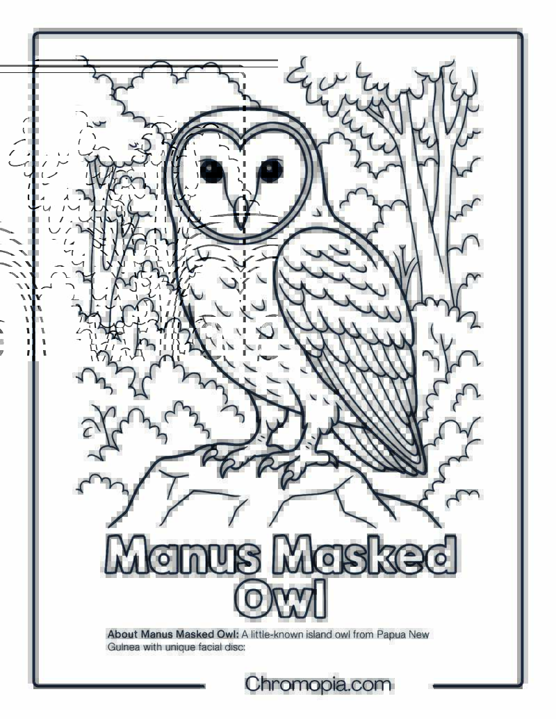 Manus Masked Owl Coloring Page