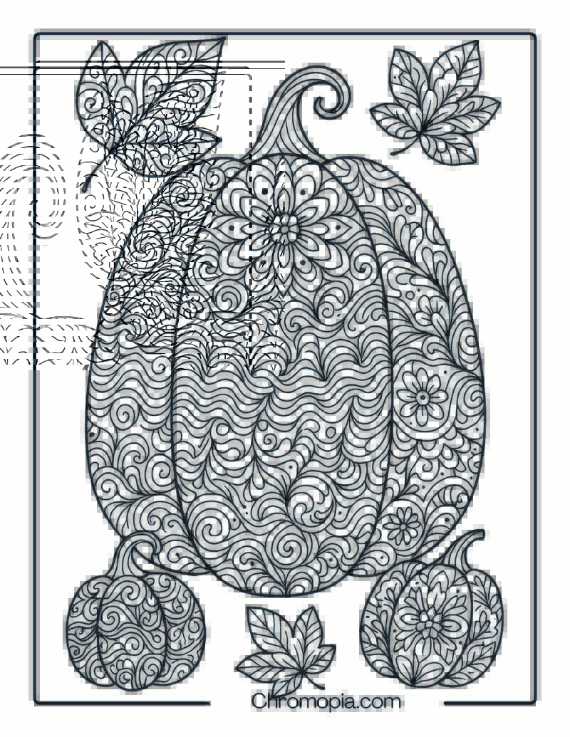 Mandala or Zentangle Pumpkins Coloring Page