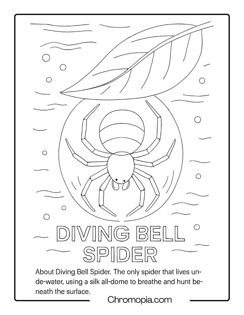 Diving Bell Spider Coloring Page
