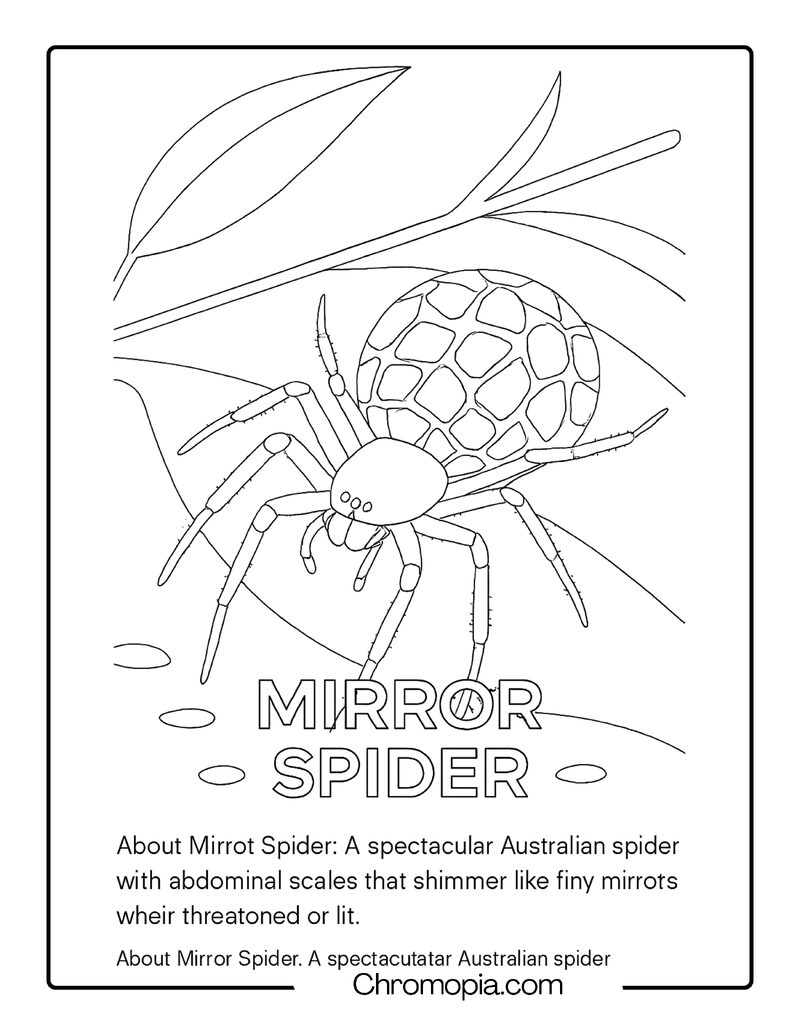 Mirror Spider Coloring Page