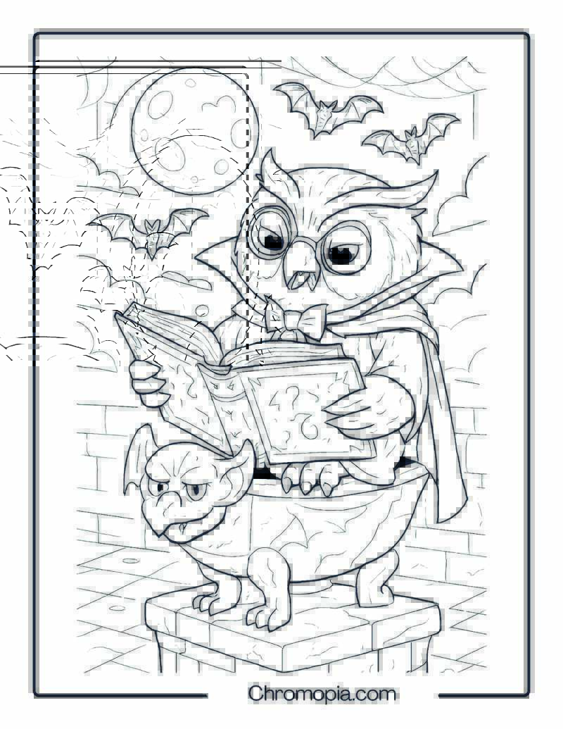 Owl Vampire Reading a Book Under Moonlight Coloring Page