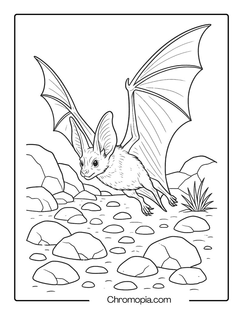 Ghost Bat Flying Low Over Desert Rocks – Bat Coloring Page