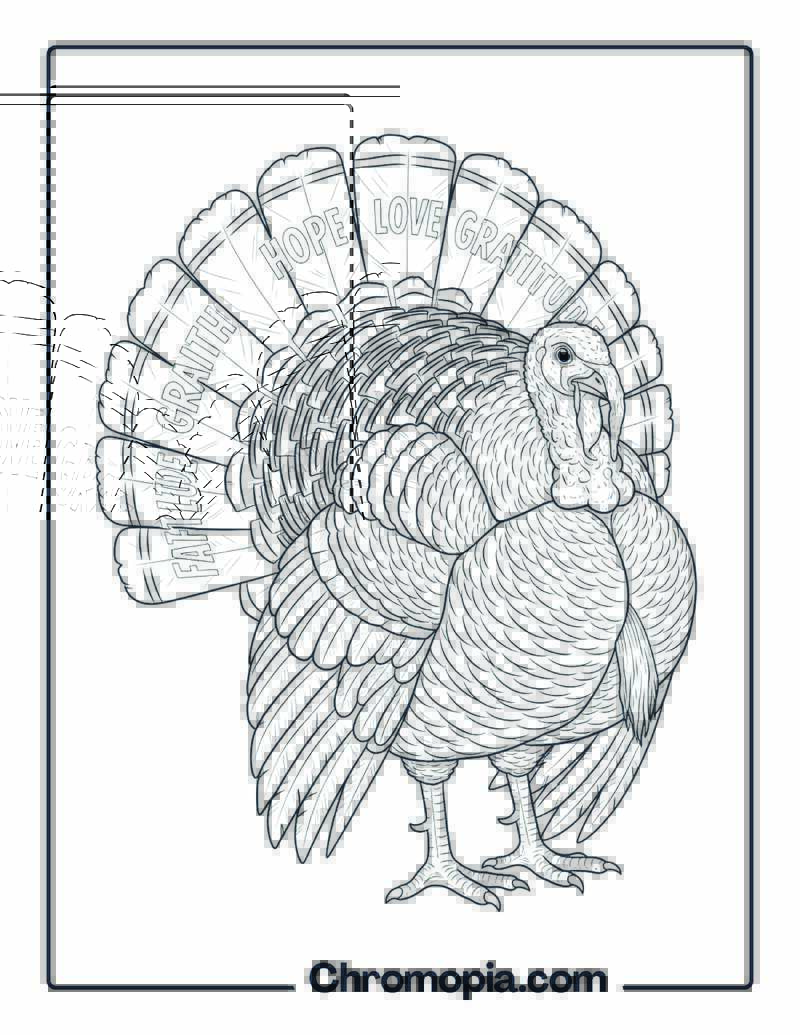 Gratitude Turkey Coloring Page for Adults