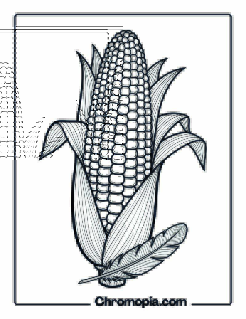 Corn Harvest Coloring Page
