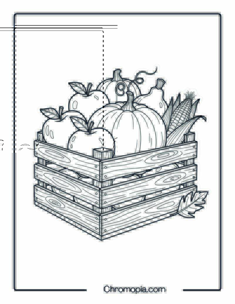 Harvest Crate Coloring Sheet
