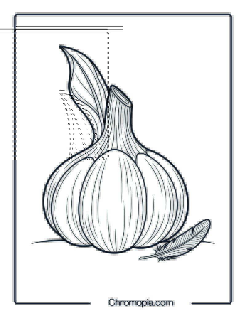 Harvest Garlic Bulb Coloring Page
