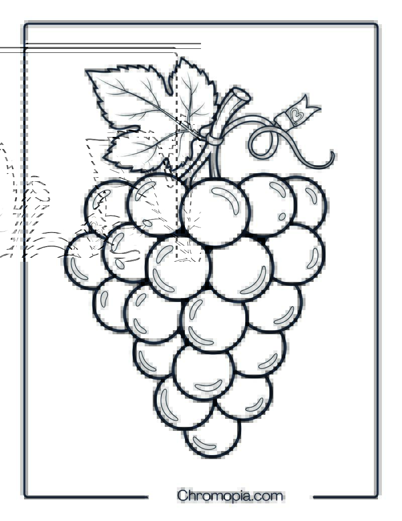 Harvest Grapes Coloring Page