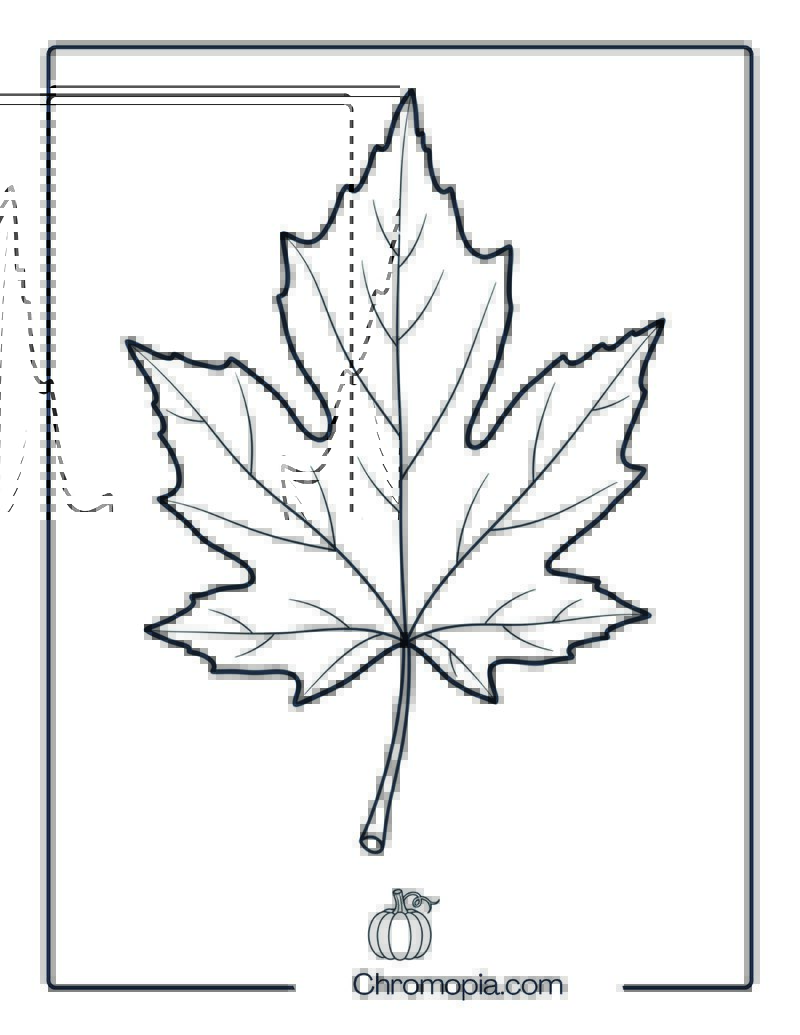 Harvest Leaf Coloring Page
