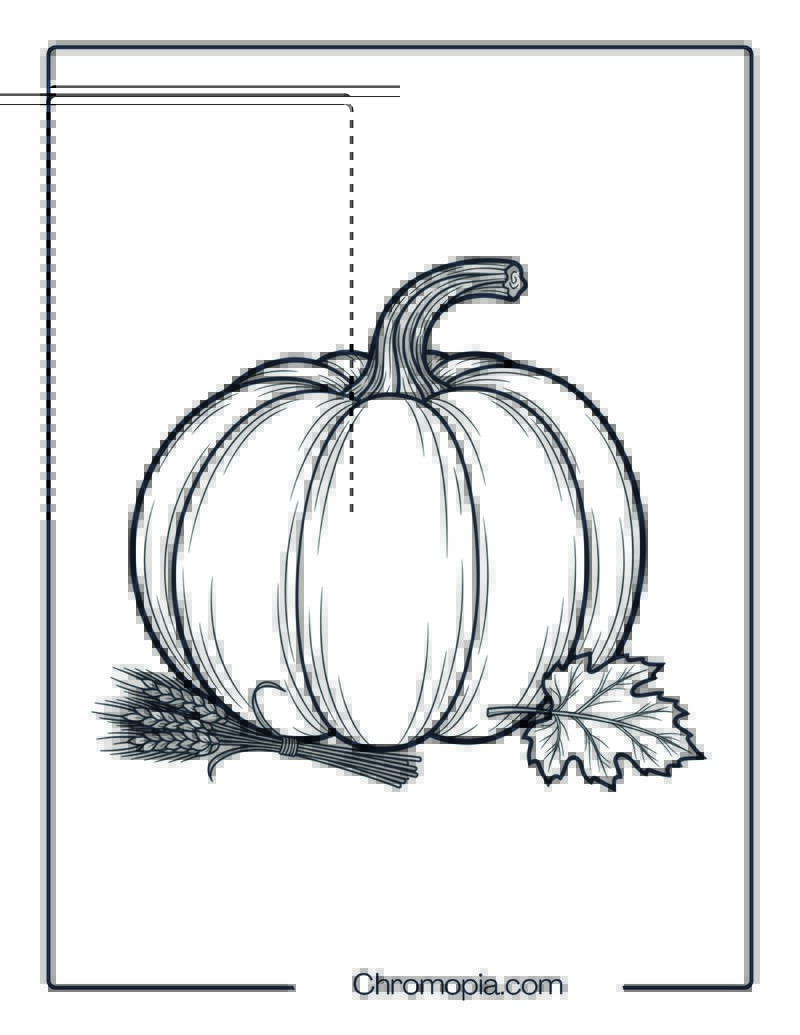 Pumpkin Harvest Coloring Page