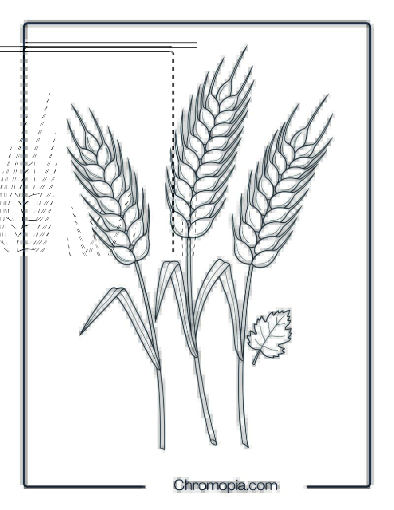 Wheat Harvest Coloring Sheet
