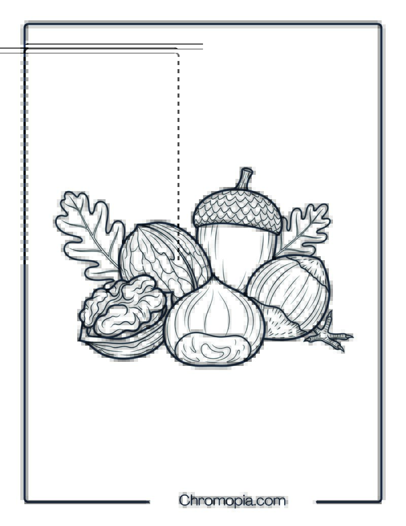 Autumn Nuts Harvest Coloring Page
