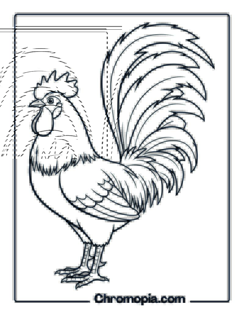 Rooster with Tall Tail Coloring Page