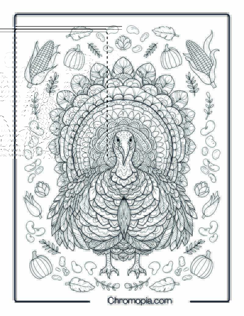 Tribal Mandala Turkey with Symmetrical Feather Patterns (Coloring Page)