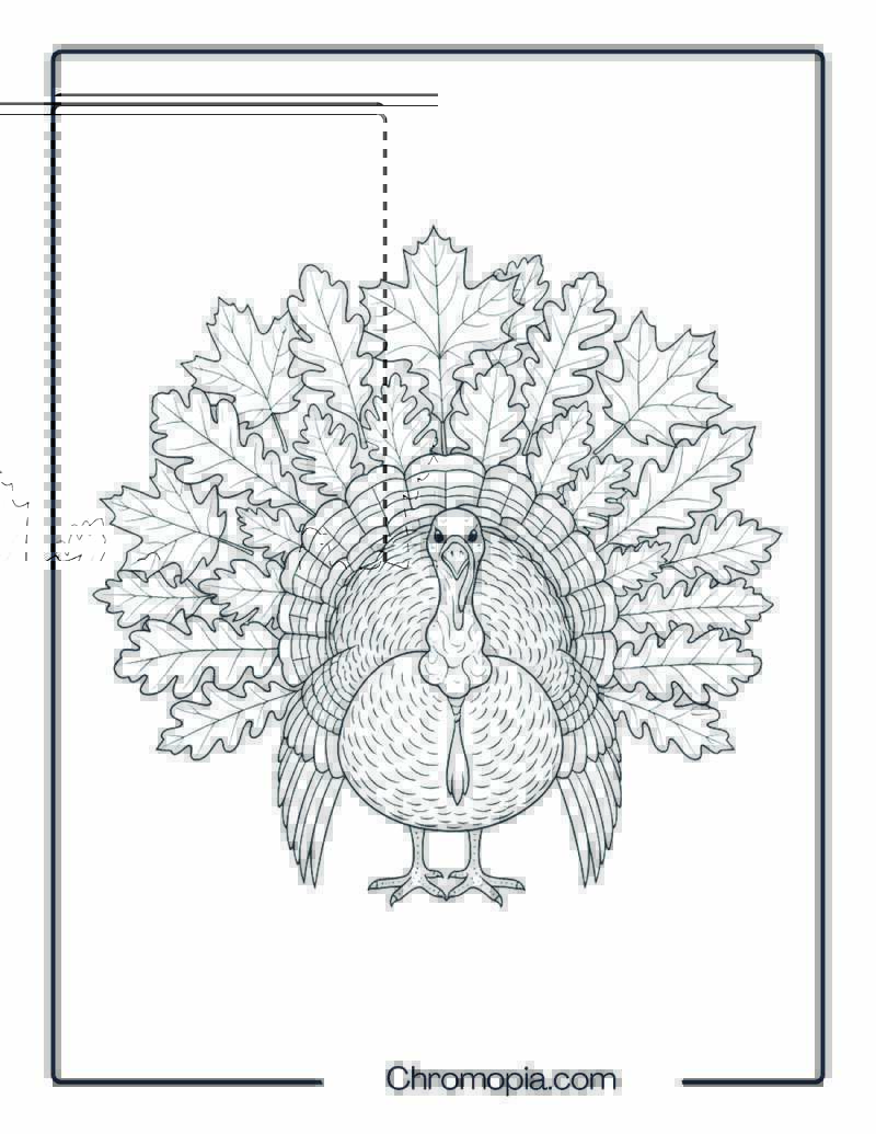 Turkey with Feathers Made of Leaves Coloring Sheet