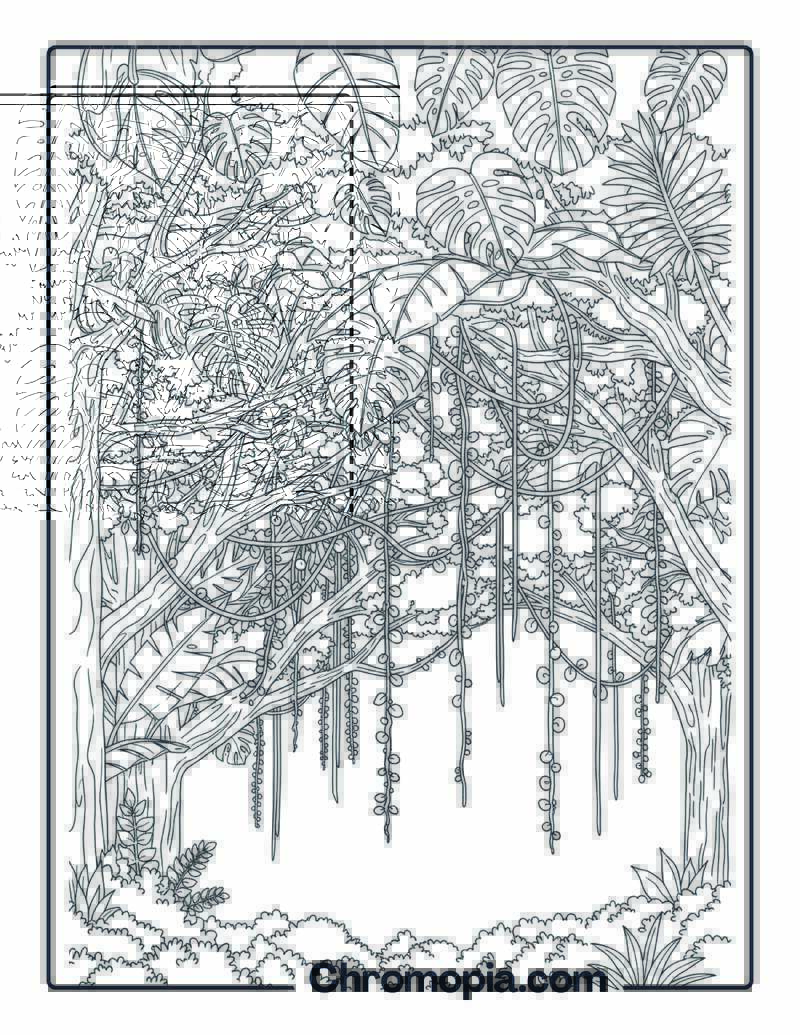 Tropical Jungle Canopy with Lianas Coloring Sheet