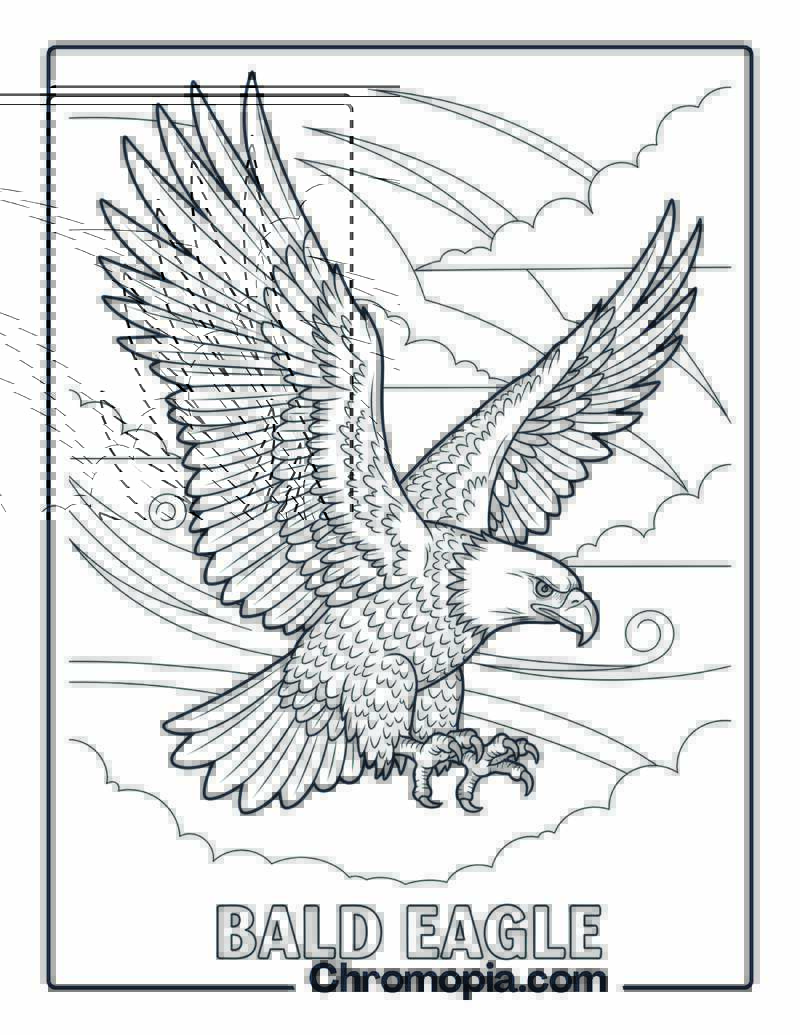 Bald Eagle coloring page