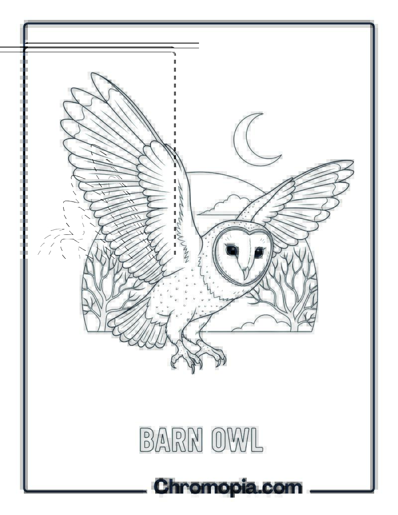 Barn Owl coloring page