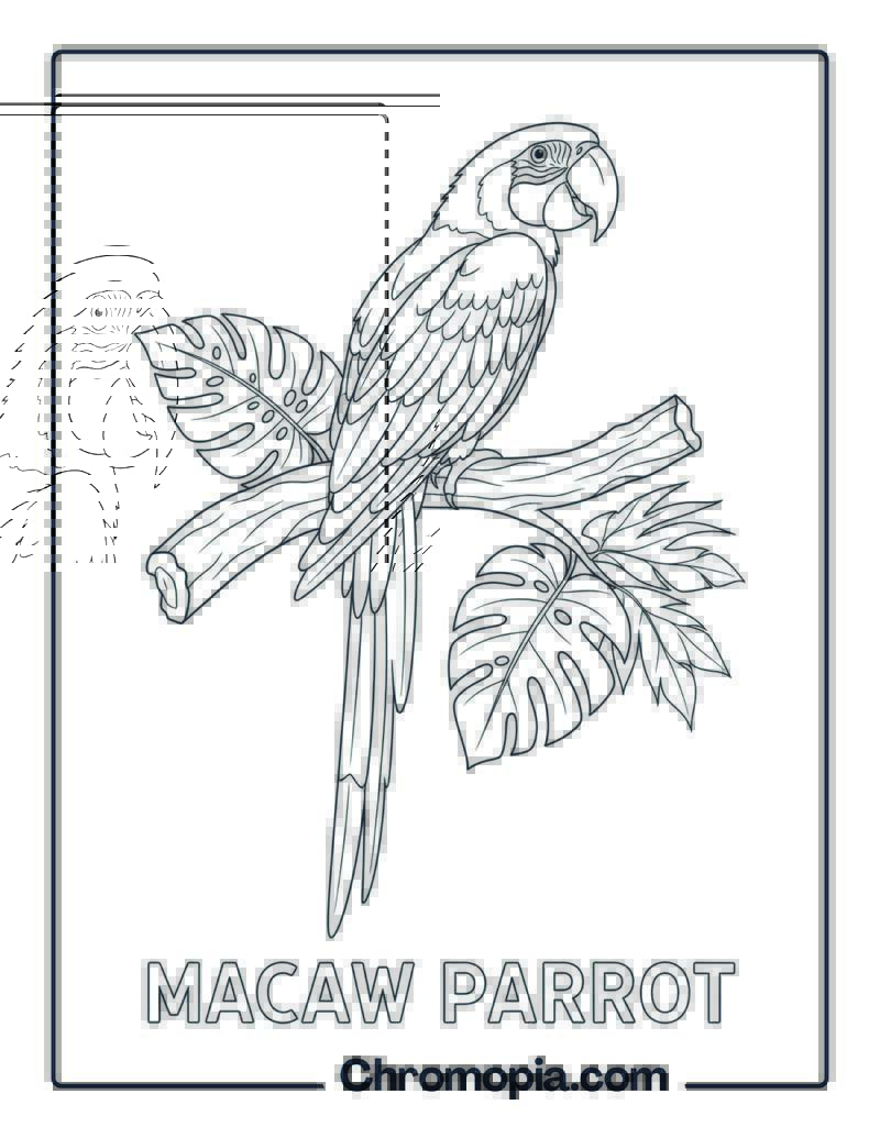Macaw Parrot coloring page