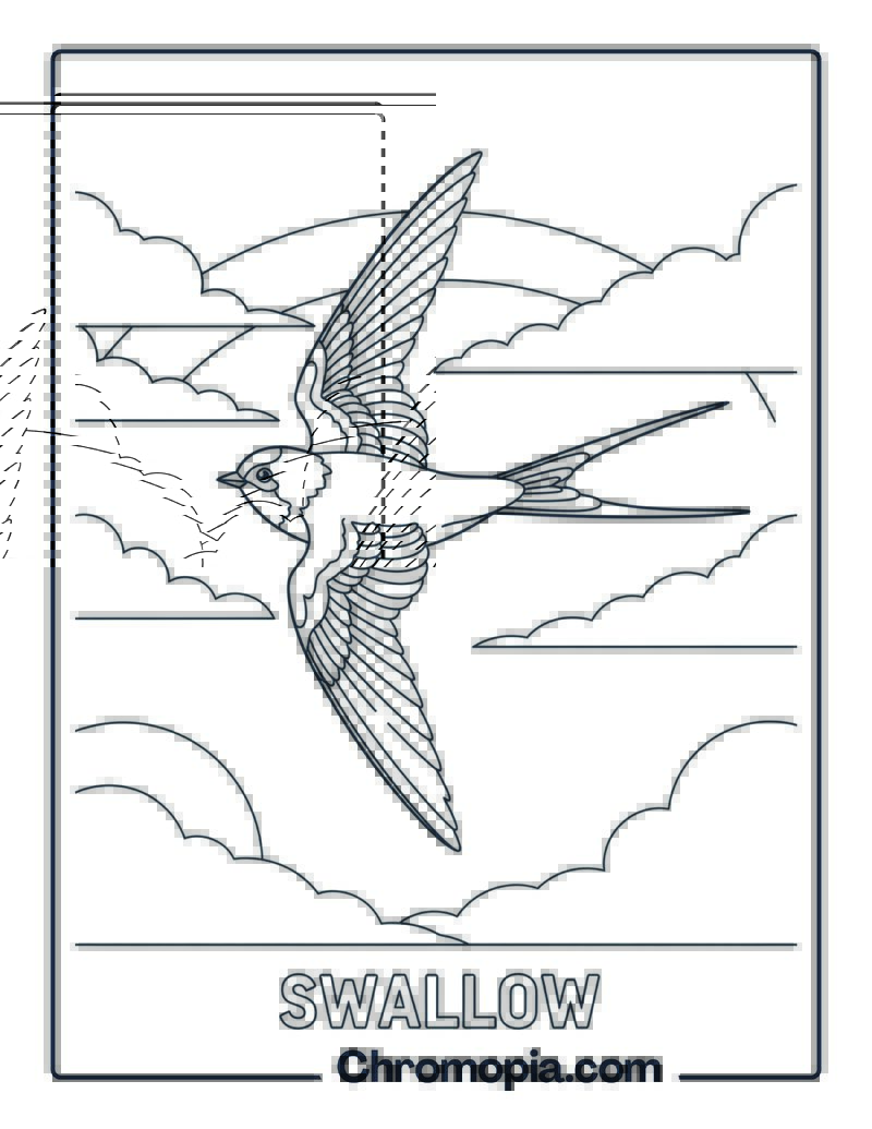 Swallow Gliding in Sky coloring page