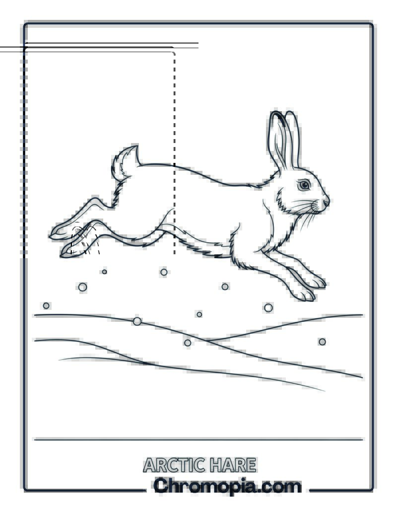 Arctic Hare Leaping coloring page