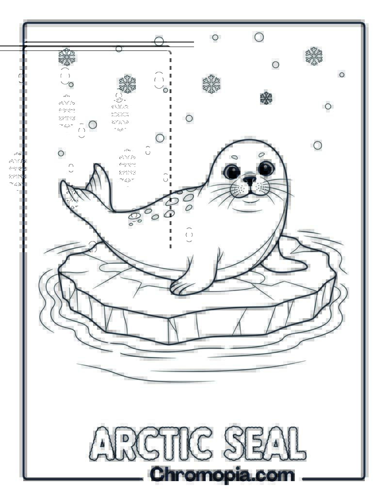 Seal on Ice Floe coloring page