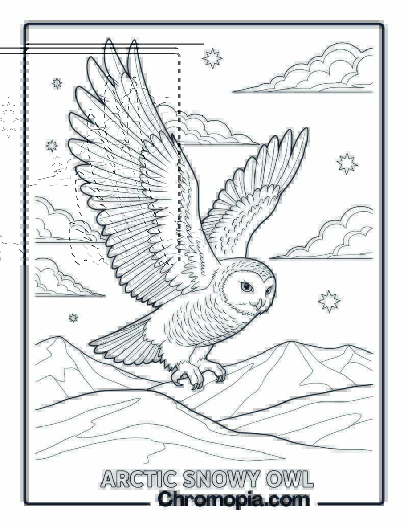 Snowy Owl in Arctic Sky coloring page