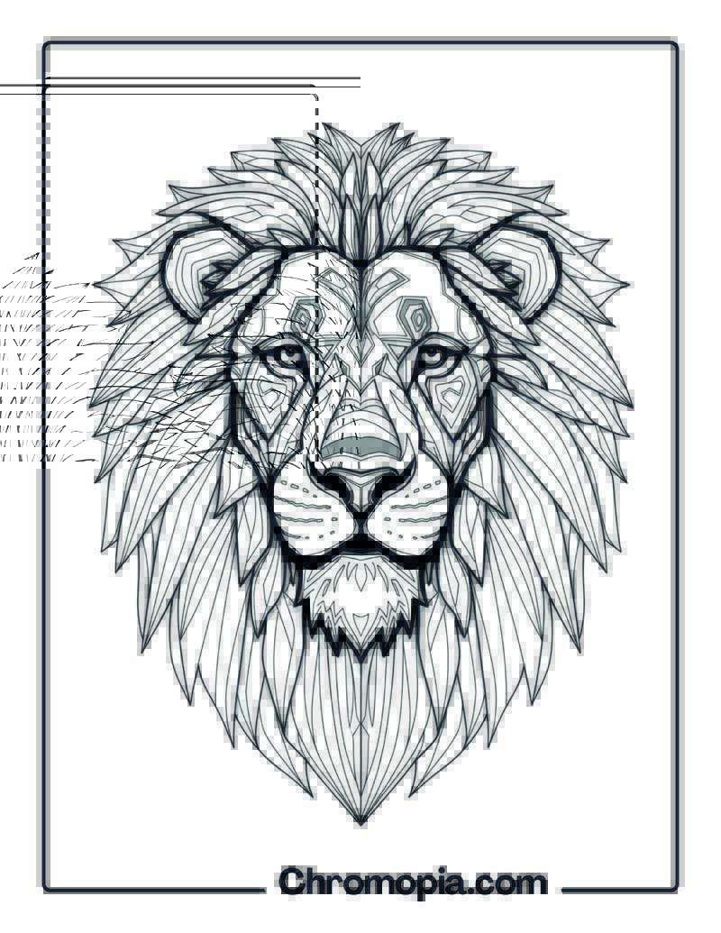 Kaleidoscope Lion Face coloring page