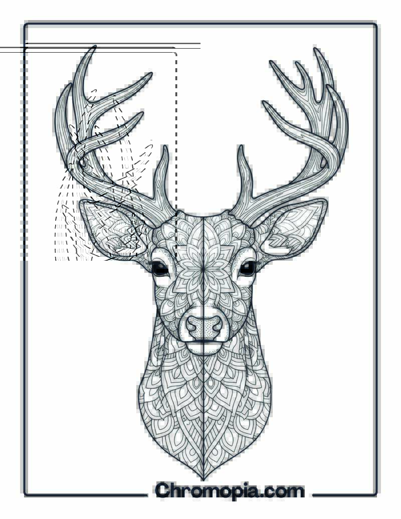 Mirror-Split Deer Half Mandala coloring page