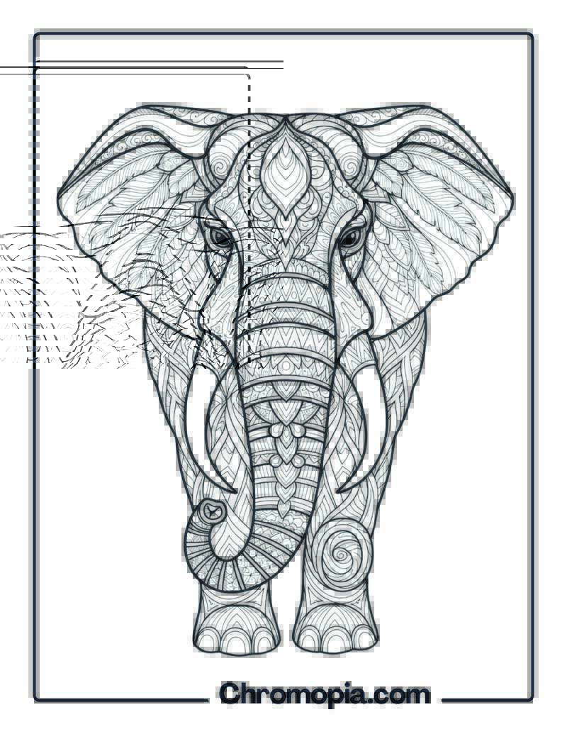 Zentangle Elephant Head coloring page