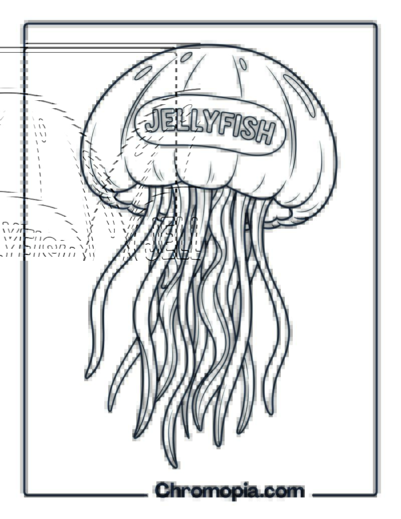 Jellyfish floating gently coloring page