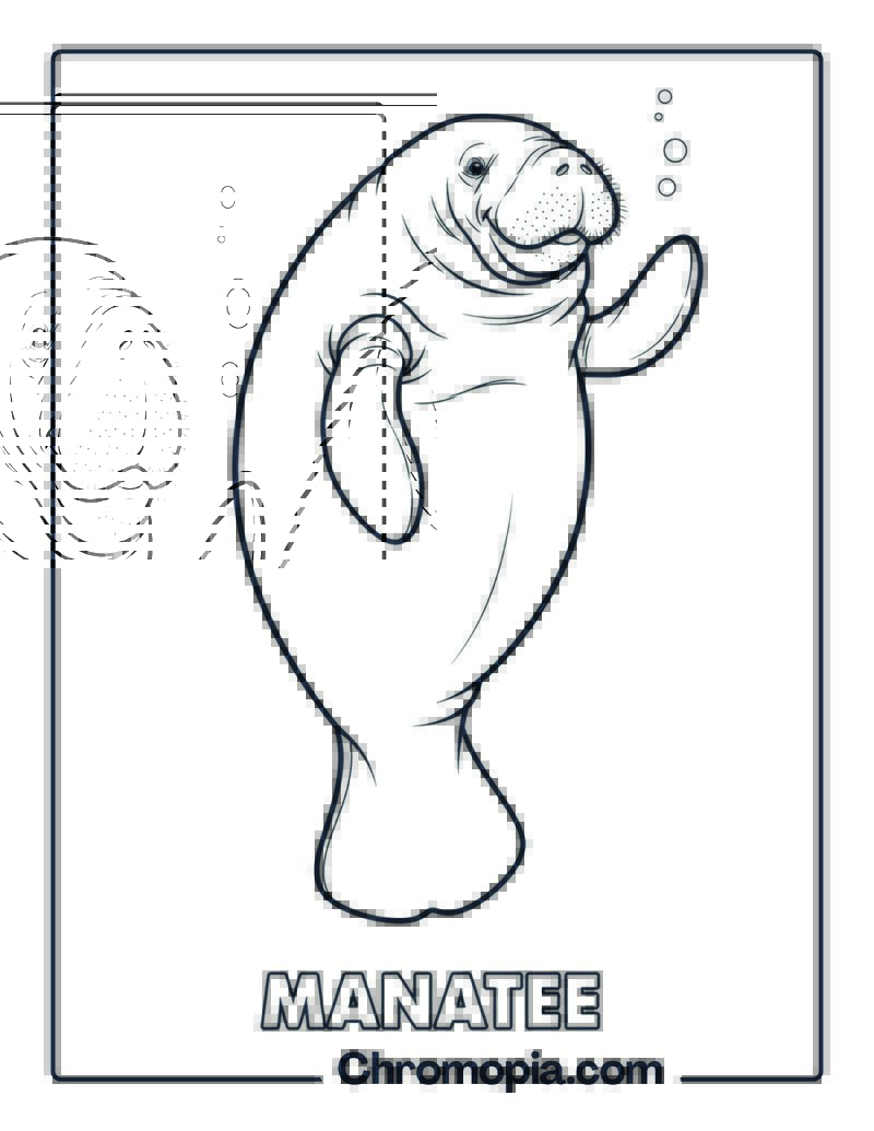 Manatee waving coloring page