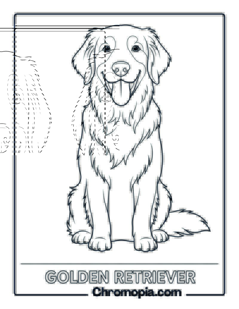 Golden Retriever Dog Coloring Page