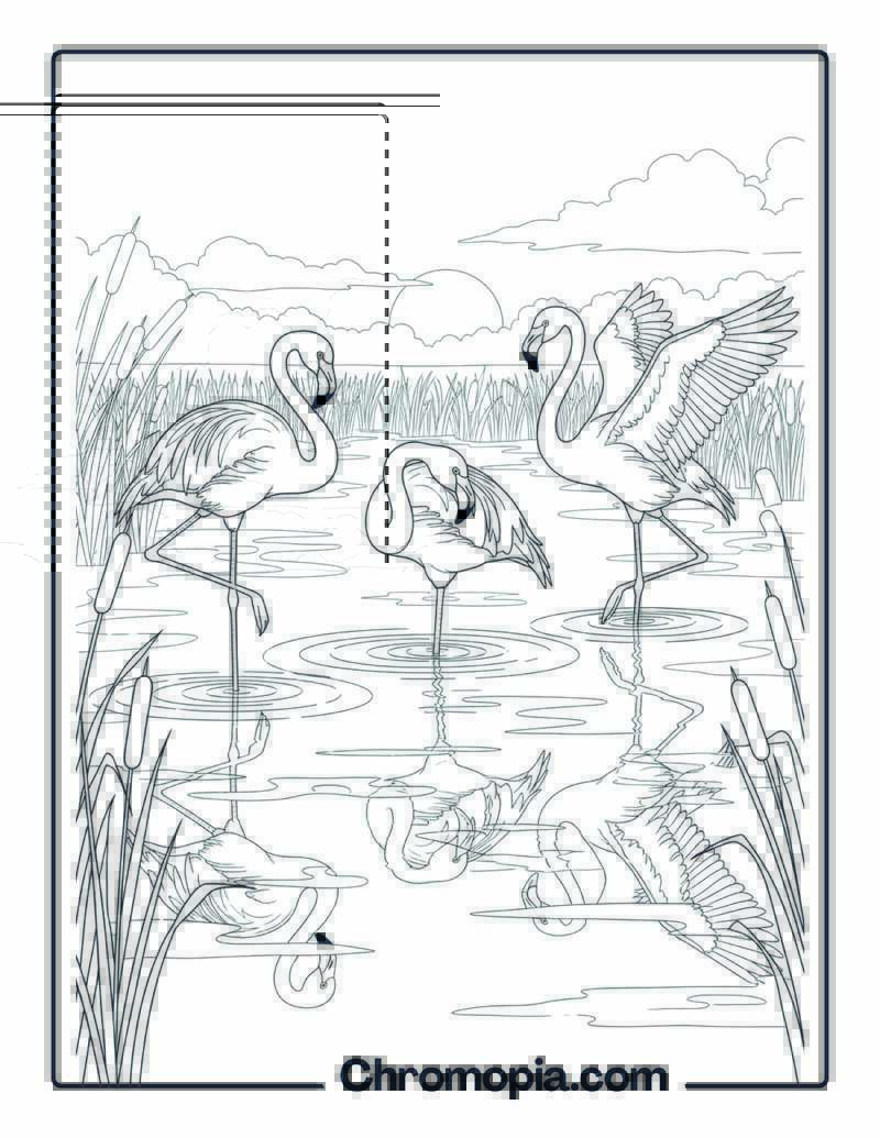 Flamingos in Wetland Marsh Coloring Page