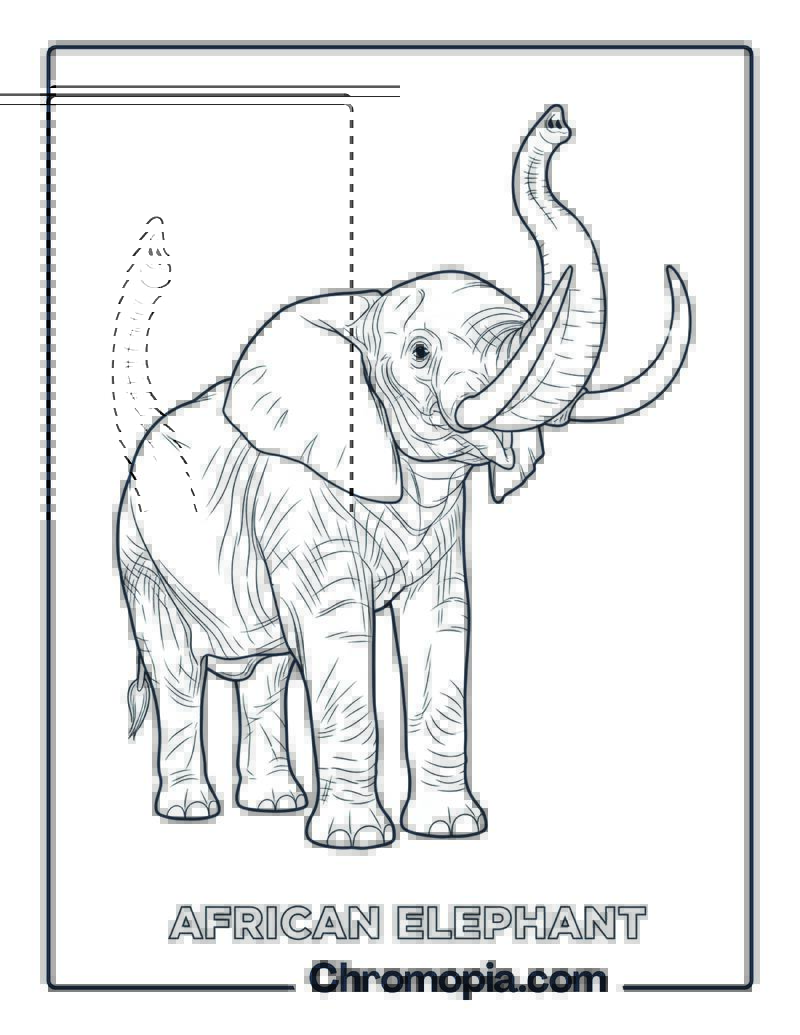 African Elephant coloring page