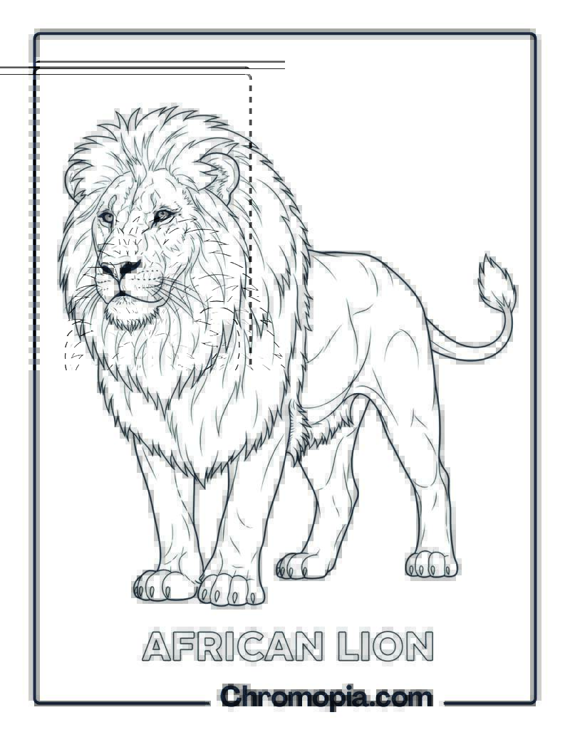 African Lion coloring page