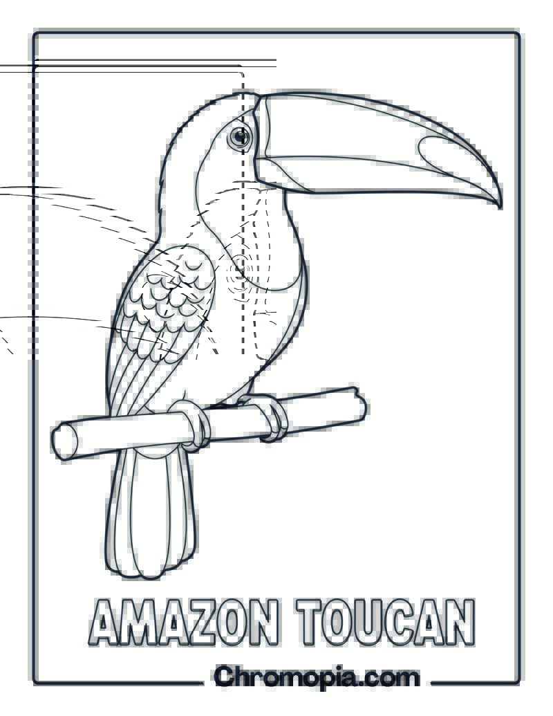 Amazon Toucan coloring page