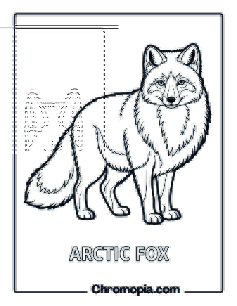 Arctic Fox in Winter Coat coloring page