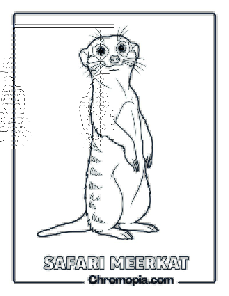 Meerkat Standing Alert coloring page
