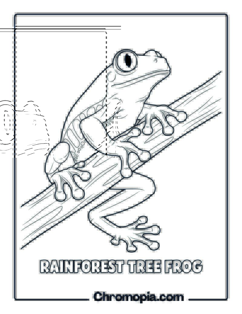 Red-Eyed Tree Frog coloring page