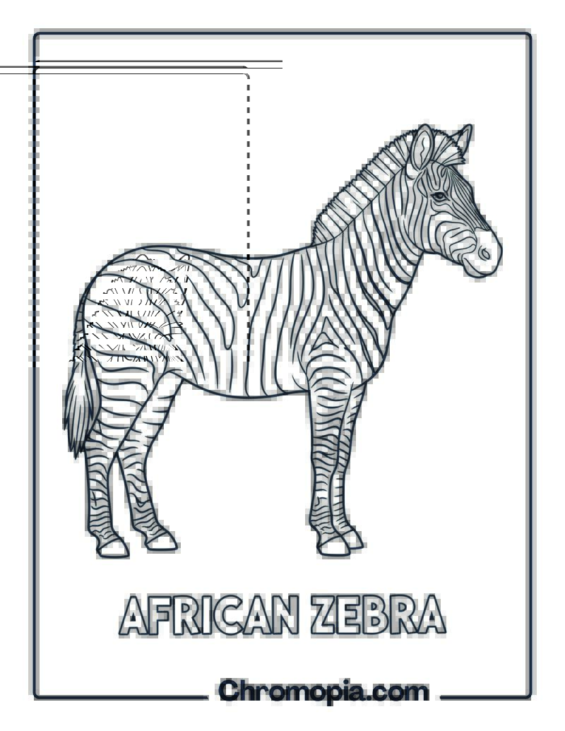Zebra Standing Sideways coloring page