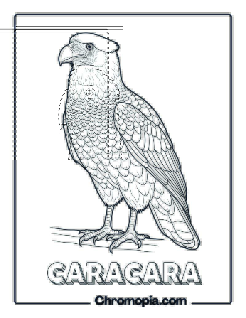 Caracara coloring page